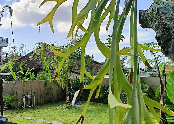 Villa 2br Private Pool Kitchen Ubud